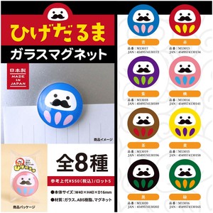 Magnet/Pin