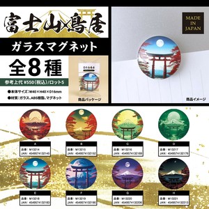 Magnet/Pin