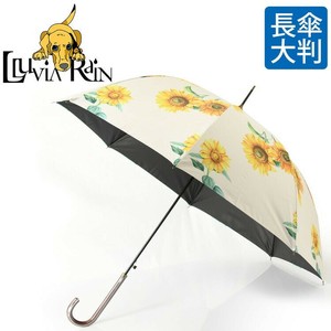 晴雨两用伞 黑 花朵 防紫外线 花卉图案