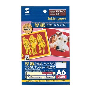 サンワサプライ インクジェットプリンタ用紙 厚手 A6 JP-AGA6