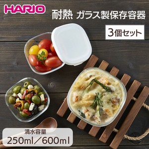 HARIO 耐熱ガラス製保存容器3個セット キッチン用品 ガラス容器 保存容器 耐熱