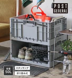 Basket Bird