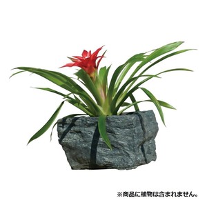 フラワーポット　86296