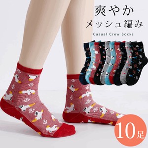 Crew Socks Ladies fashion Socks 23cm ~ 25cm 10-pairs