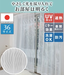 蕾丝窗帘 白色 竖纹 200cm 日本制造