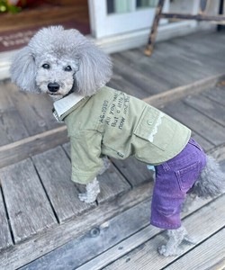 NミリタリーレースSH（犬服）