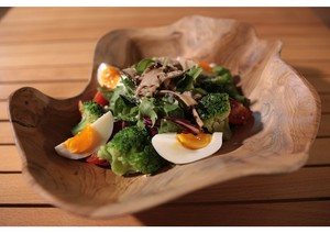 预购 丼饭碗/盖饭碗