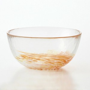 Donburi Bowl Shaved Ice Orange