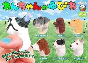 Capsule Toy Toy