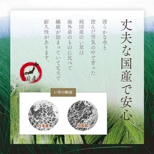 座布団 い草座布団 日本製 抗菌防臭 消臭 湿度調整 蒸れにくい 涼しい モダン 無地