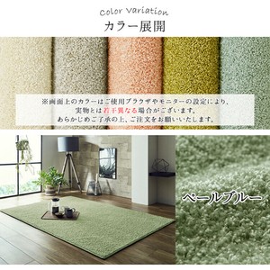 日本 抗菌 消臭 清潔 ラグ カーペット 防炎 アレルキャッチャー 抗アレル物質 ダニ対策 シャギー 無地