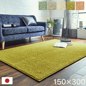 日本 抗菌 消臭 清潔 ラグ カーペット 防炎 アレルキャッチャー 抗アレル物質 ダニ対策 シャギー