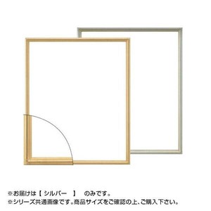 大額 7517 デッサン額 八ツ切 シルバー