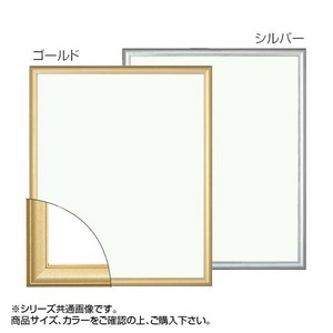 大額 5003 デッサン額  八ツ切 シルバー