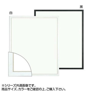 大額 5382 デッサン額  大全紙 白