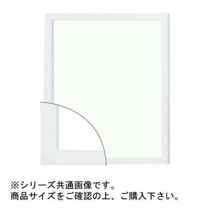 大額 9790 デッサン額  太子 ホワイト