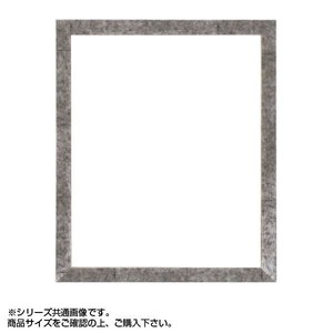 大額 5698 デッサン額 八ツ切 銀柄紋