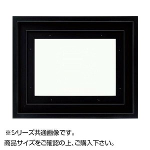 大額 9976 油額  F10 ブラック