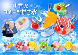 リアルフルーツかき氷BC付