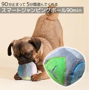 【売り切れごめん】ペット用玩具　ジャンピングボール