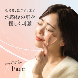 Massage Item Face [2025 NEW]