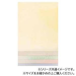 料紙　明日香　中字　5色セット　100枚　半懐紙・AG17-2