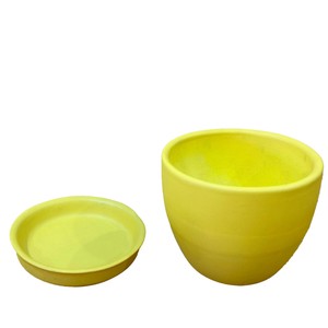 Pot/Planter