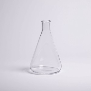 Flower Vase