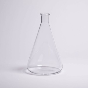 Flower Vase
