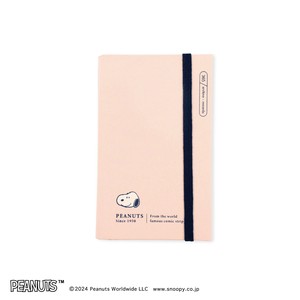 365 POCKET DIARY PEANUTS / CHARM