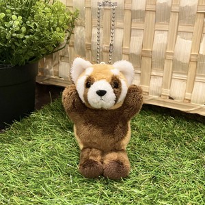 いかくZOO　レッサーパンダ　B/C