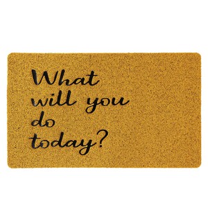 ふかふかﾃﾗｽﾏｯﾄ What will you do today?　玄関マット/水洗いOK/ベランダ