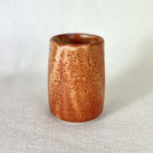 Japanese Teacup