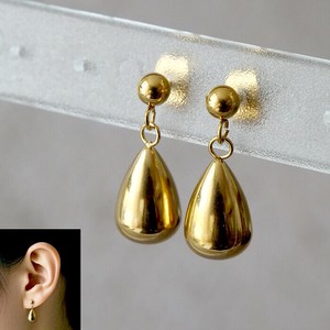 Pierced Earringss Stainless Steel Drop