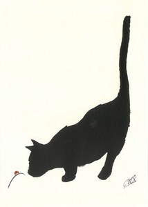 Postcard Cat