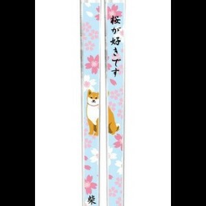 【しばたさん】【新商品】サクラダシバタ　クリア箸