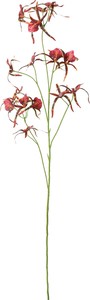 【造花】スパイダーオーキッド　ブラウン　FB-2507BR