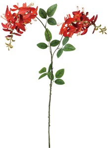 【造花】エリスリナブランチ　ホワイト　FBC-8237W