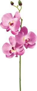 【造花】コチョウラン　レッド　FZY-0448R