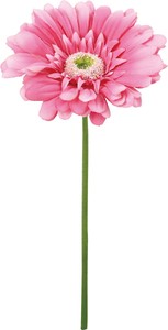 【造花】ガーベラ　グリーン　GL-5343GR