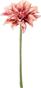【造花】サテンシングルダリア　　GL-5355KK