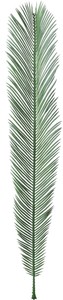 【造花】ソテツL