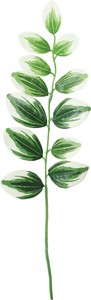【造花】ナルコラン