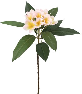 【造花】フレッシュカットプルメリア