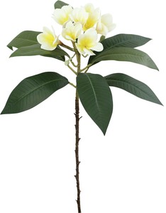 【造花】フレッシュカットプルメリア