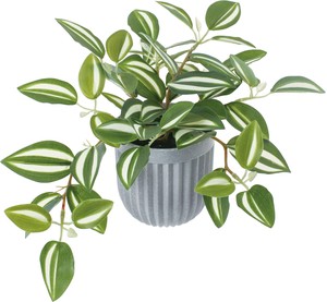【造花】【グリーン】ワンダリングジューポット
