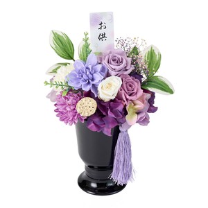 【2025年25SS新作】儚花（はかなばな）  ZY005032-zzz