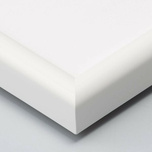 大仙 デッサン額 MM-02 AC 全紙 白 32D972A5132