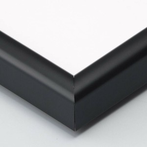 大仙 デッサン額 MM-02 AC 半切 黒 32D972A4633