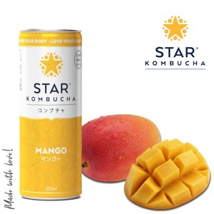 スターコンブチャ マンゴー(発酵飲料)[250ml／1本]STAR KOMBUCHA MANGO 紅茶キノコ 発酵ドリンク konbucha